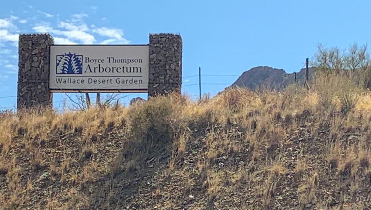 Copper Mountain Superior